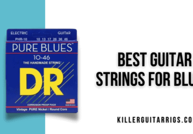 5 Best Guitar Strings for Blues (2022)