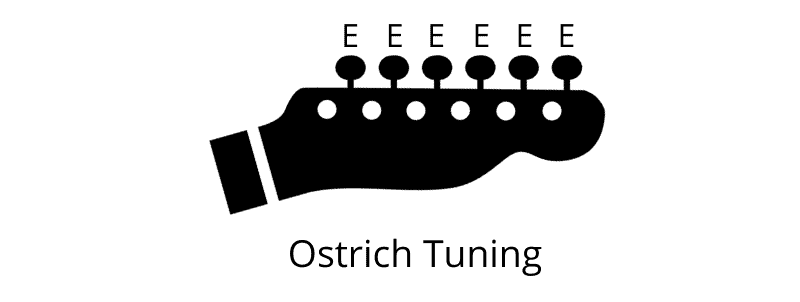 Alternate Tunings for Guitar - Ostrich Tuning