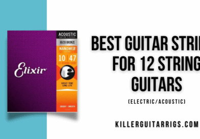 6 Best Guitar Strings for 12 String Guitars (Electric/Acoustic) [2022]