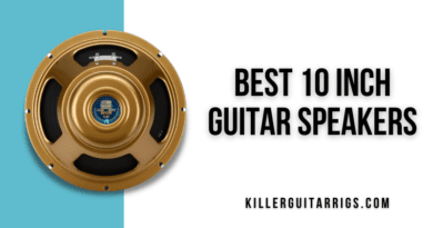 5 Best 10 Inch Guitar Speakers