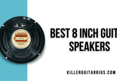 5 Best 8 Inch Guitar Speakers, 2022 Edition