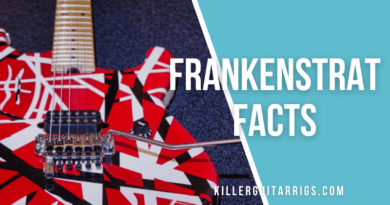 Frankenstrat Facts