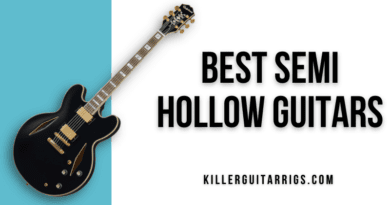 Best Semi Hollow Guitars