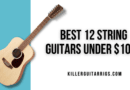 Best 12 String Guitars Under 00